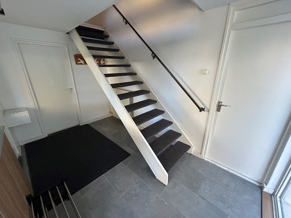 Marshallsingel 23007.JPG